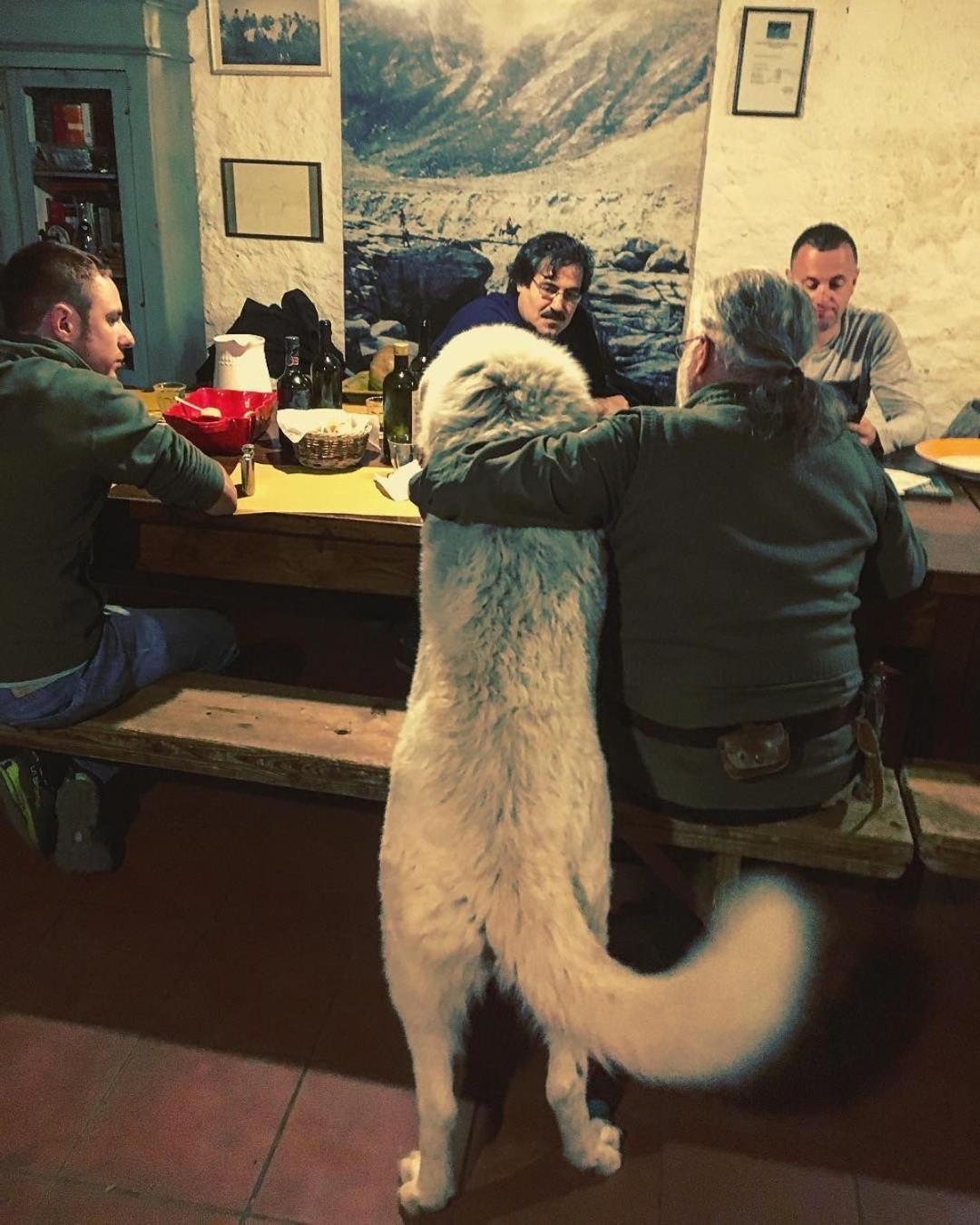 Centro Trekking A Cavallo Monte Brugiana Hostal Massa  Exterior foto