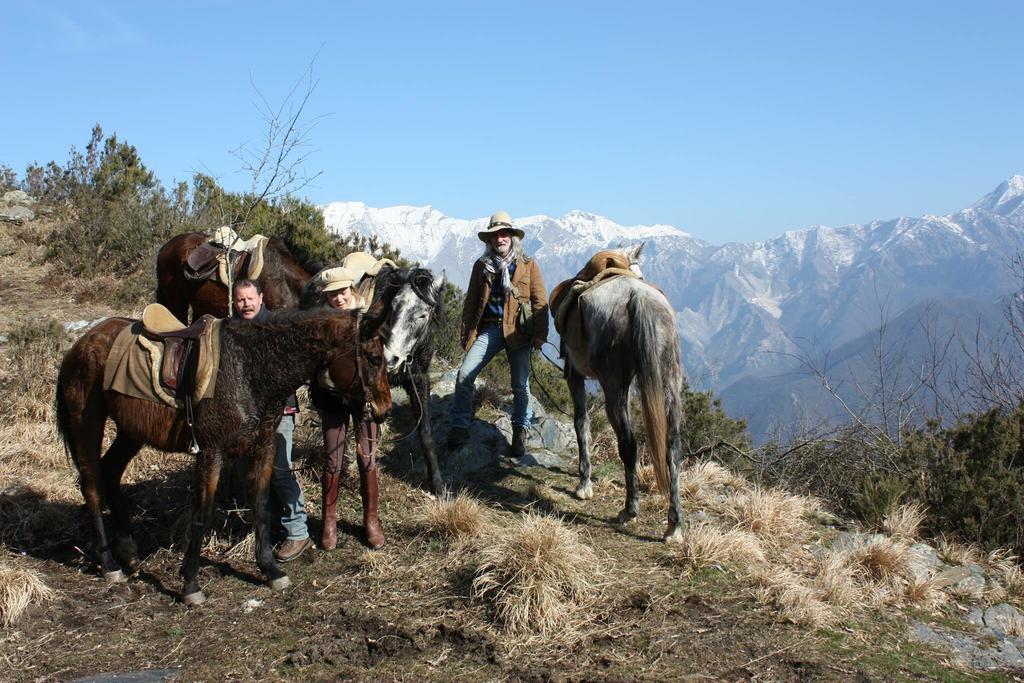 Centro Trekking A Cavallo Monte Brugiana Hostal Massa  Exterior foto